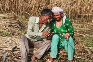 Two farmers look at a mobile phone