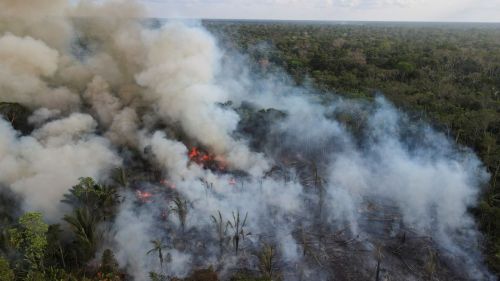 Billows of smoke rise over a deforested plot of the Amazon jungle next to the Transamazonica national highway, in Labrea, Amazonas state, Brazil
