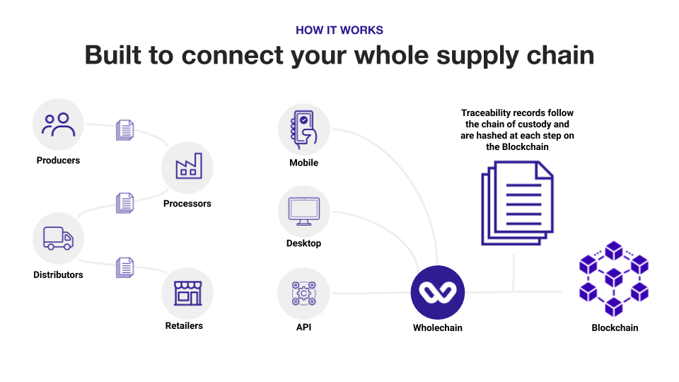 A graphic showing how traceability works to connect a supply chain