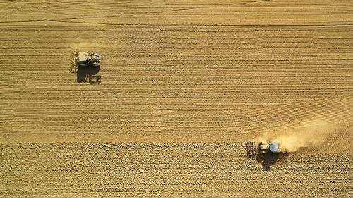 Tractors in a yellow field seen from the sky.