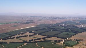 The Golan Heights' border with Syria proper.