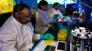 Scientists prepare bacteria samples in a diseases lab
