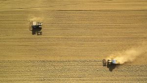 Two tractors harvesting a field