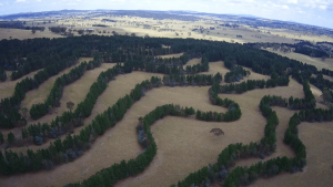 Agroforesty system utilizing contour planning