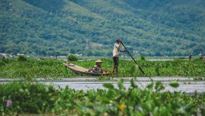 A fisherman steers his boat through Inle Lake in Myanmar