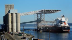 A bulk carrier ship is loaded, Friday, May 10, 2019, at the Temco grain terminal at the Port of Tacoma in Tacoma, Wash.