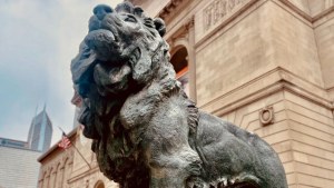 One of the lion statues outside of the Art Institute of Chicago